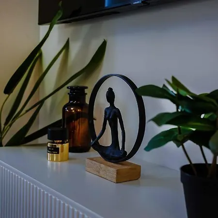 Appartement Corvin Avenue Premium Central *